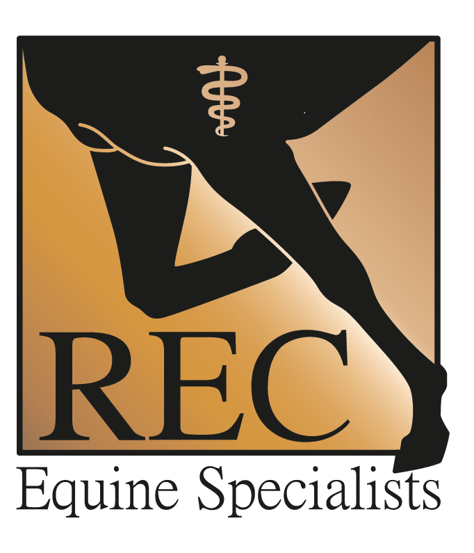 REC Equine Specialists